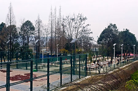 arena lights solar arena lights solar