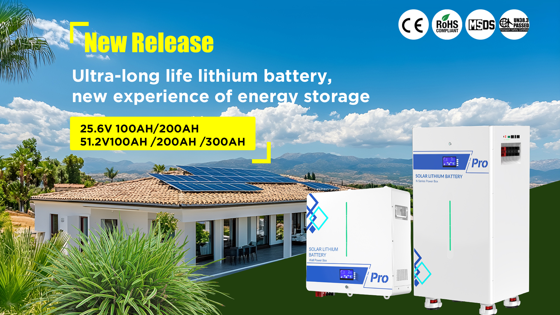 Npro Lithium Battery
