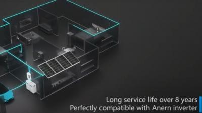 100Ah 200Ah 300Ah 25.6V 51.2V Wall Mounted LiFePO4 Solar Lithium Battery (AN-NPRO)