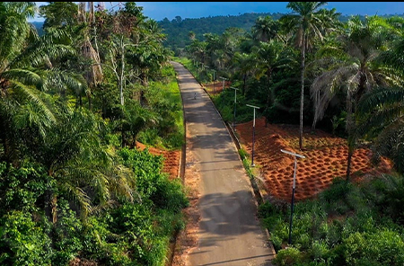 Government Federal Republic Solar Street Light Project in Nigeria Government Federal Republic Solar Street Light Project in Nigeria